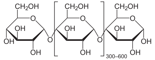 Amylose (starch)