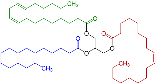Triglyceride